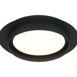 Iris Flush Mount
