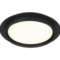 Iris Flush Mount