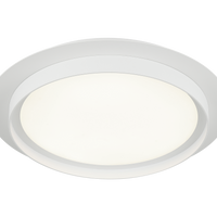 Iris Flush Mount
