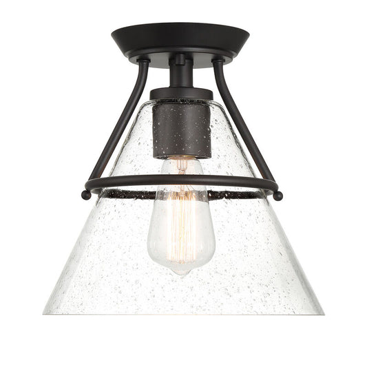 Meridian 1-Light Ceiling Light