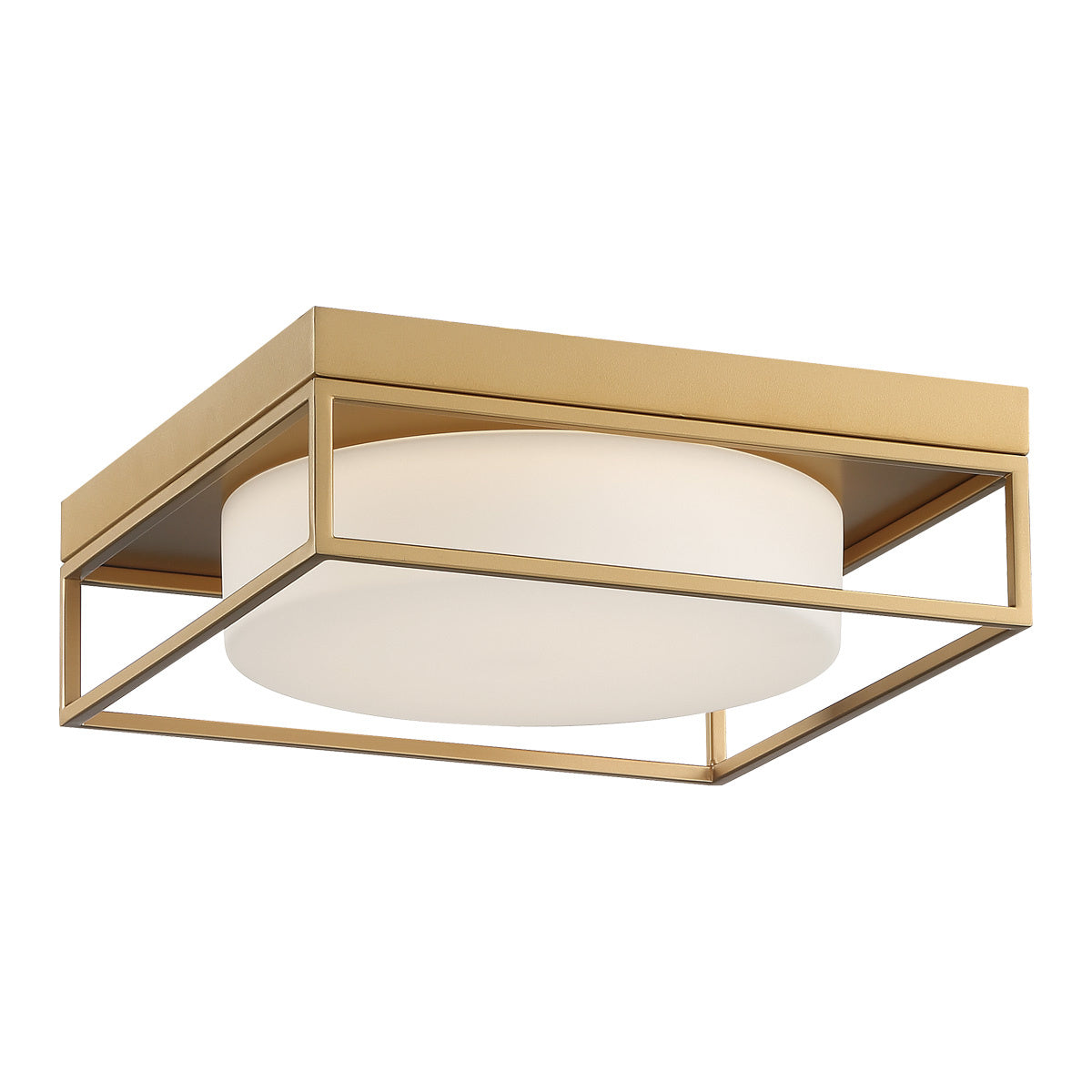 Rover 12" Integrated LED Flush Mount
