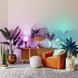 A21 Pro DCPro Smart A21 LED Bulb