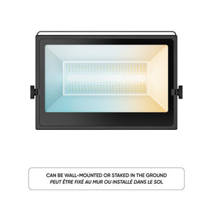Horizon DALS CONNECT PRO 100W Smart Flood Light