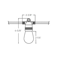 Orion DALS CONNECT PRO Smart outdoor string light RGB+CCT 48', 15 Lights