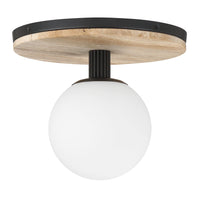 Carnagie 12" Integrated LED Flush Mount