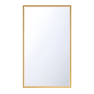 Cerissa Mirror 32" X 54"