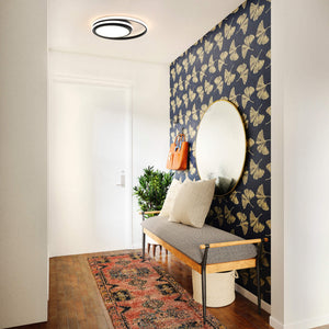 Newton 18 inch Flushmount with outer ring