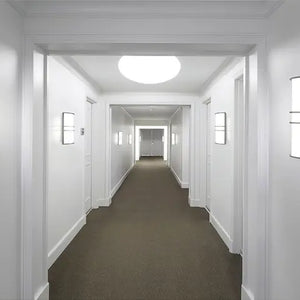 Wall Sconce 2Lt LED
