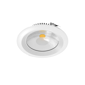 Hilux 8 Inch High Powered LED Commercial Down Light