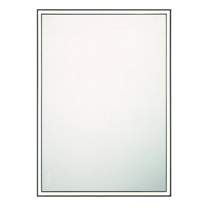 Nixon Mirror 30" X 42"