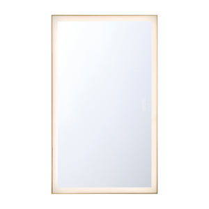Lenora Mirror 32" X 54"