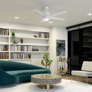 56 Inch Brahm Fan