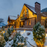 4" Landscape Spotlight