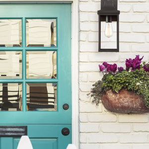 1-Light Outdoor Wall Lantern