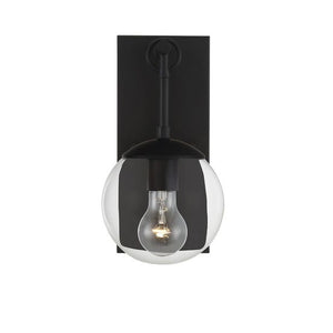 1-Light Outdoor Wall Lantern