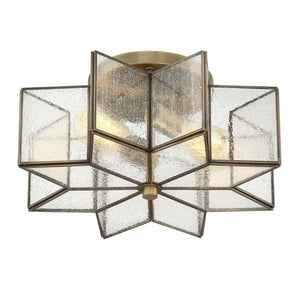 2-Light Ceiling Light