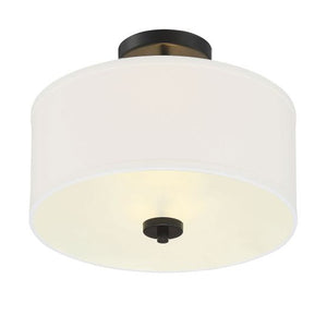 2-Light Ceiling Light
