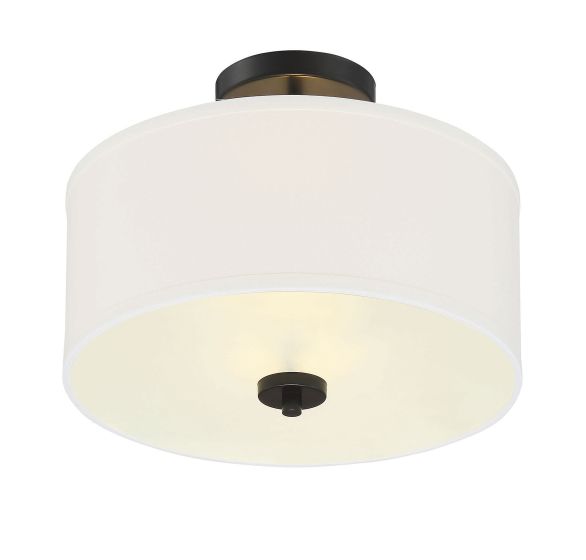2-Light Ceiling Light