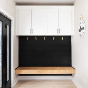2-Light Ceiling Light