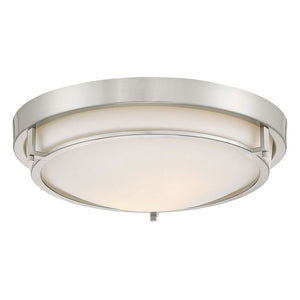2-Light Ceiling Light