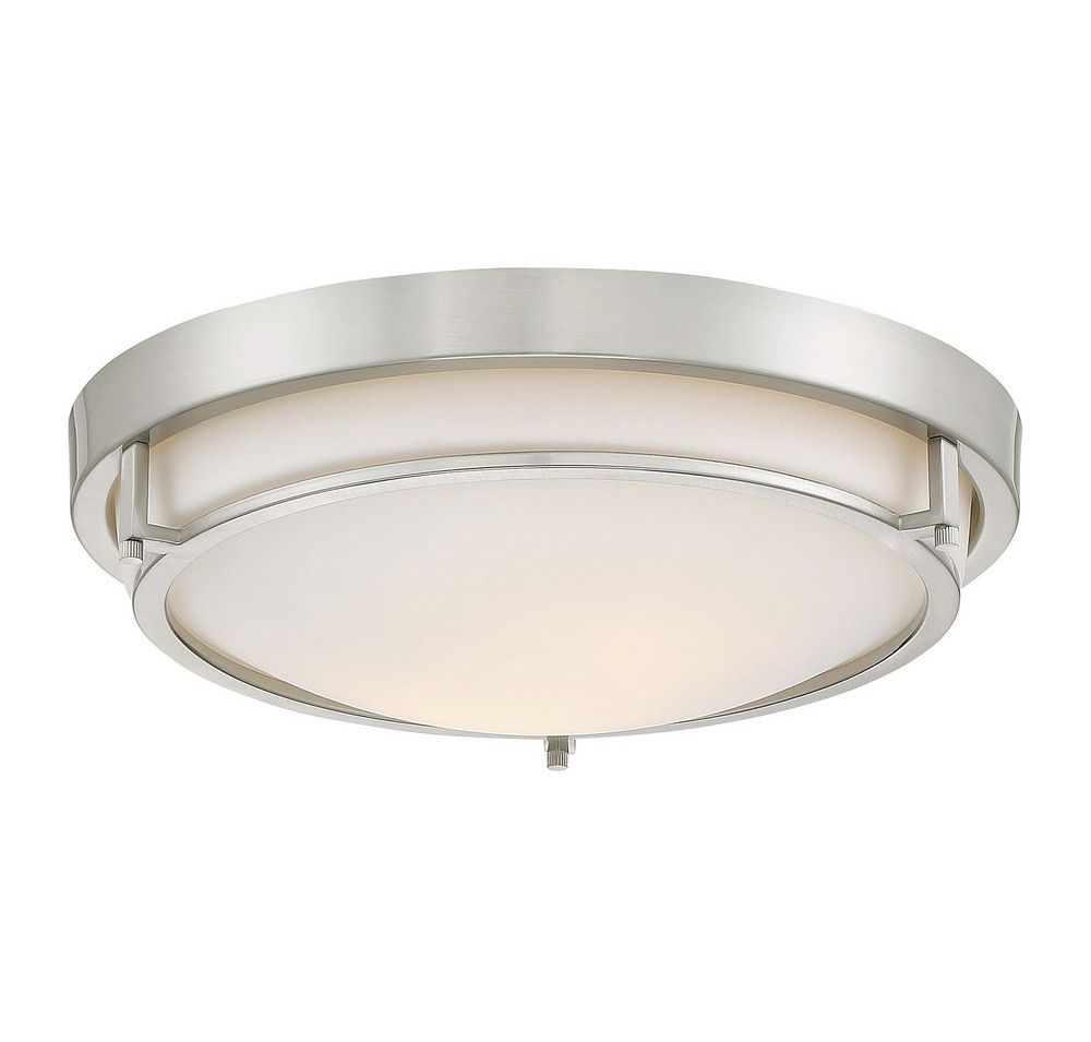 2-Light Ceiling Light