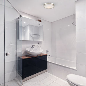 2-Light Ceiling Light