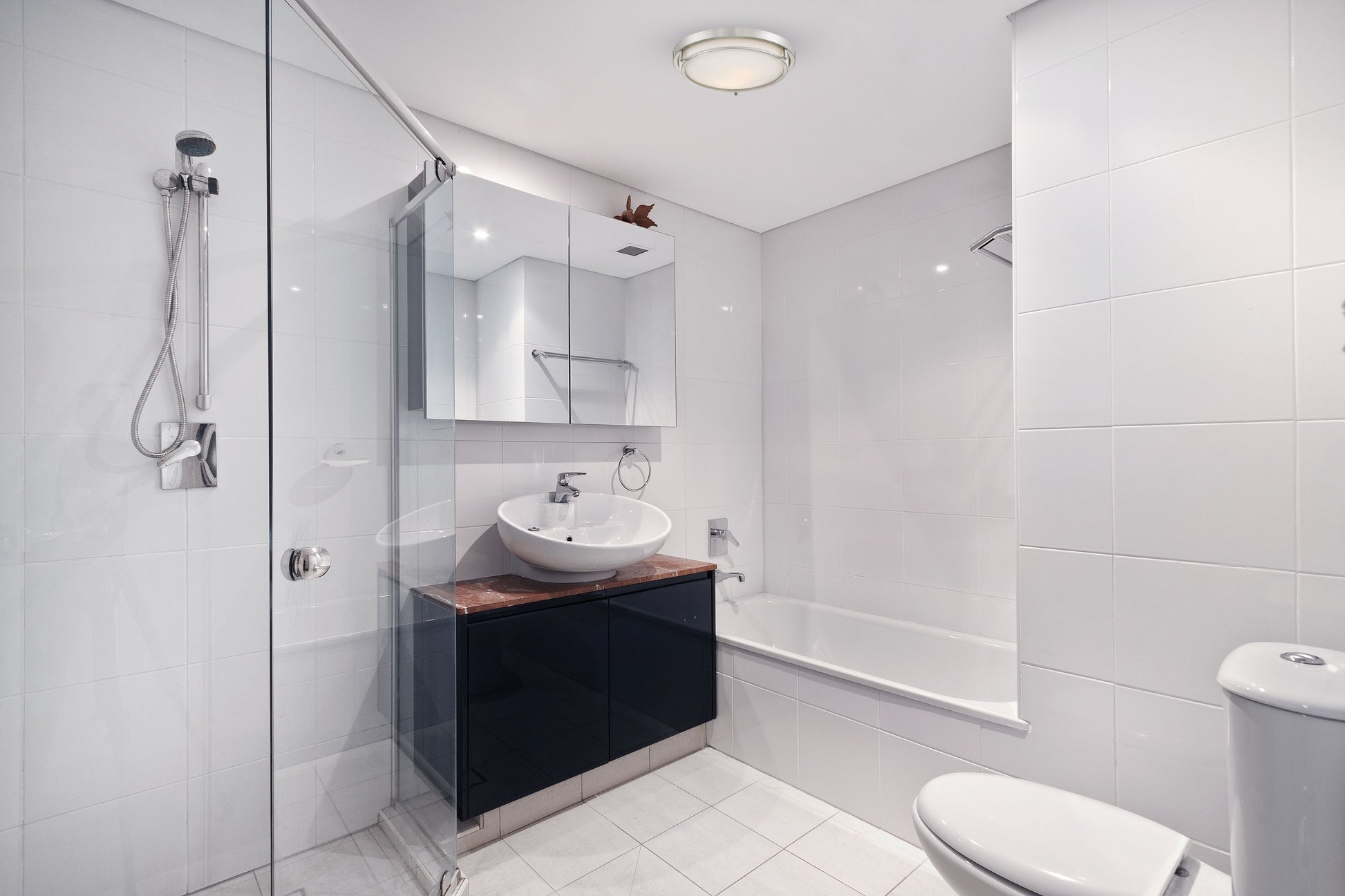 2-Light Ceiling Light