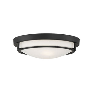 2-Light Ceiling Light