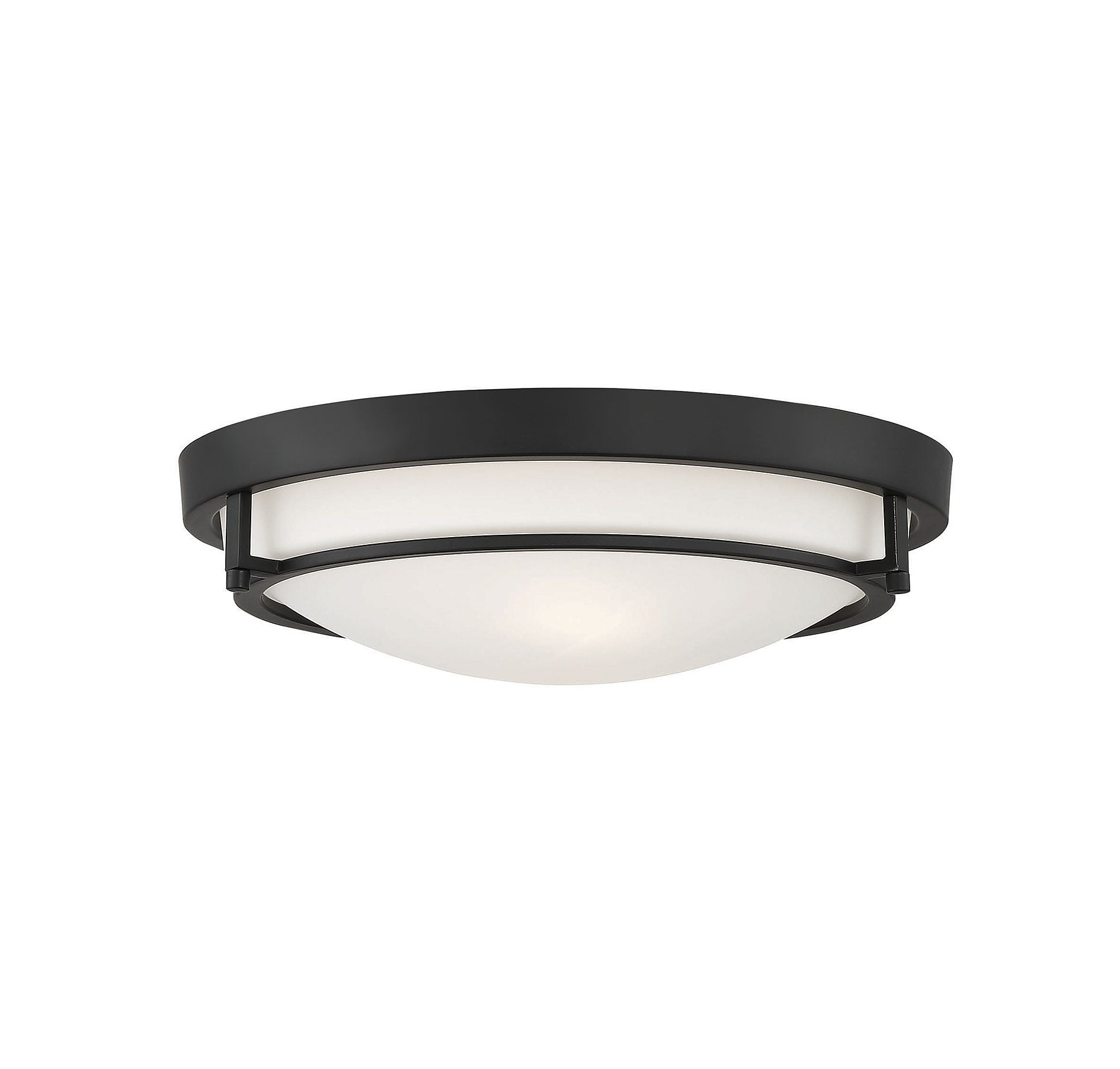 2-Light Ceiling Light