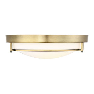 2-Light Ceiling Light