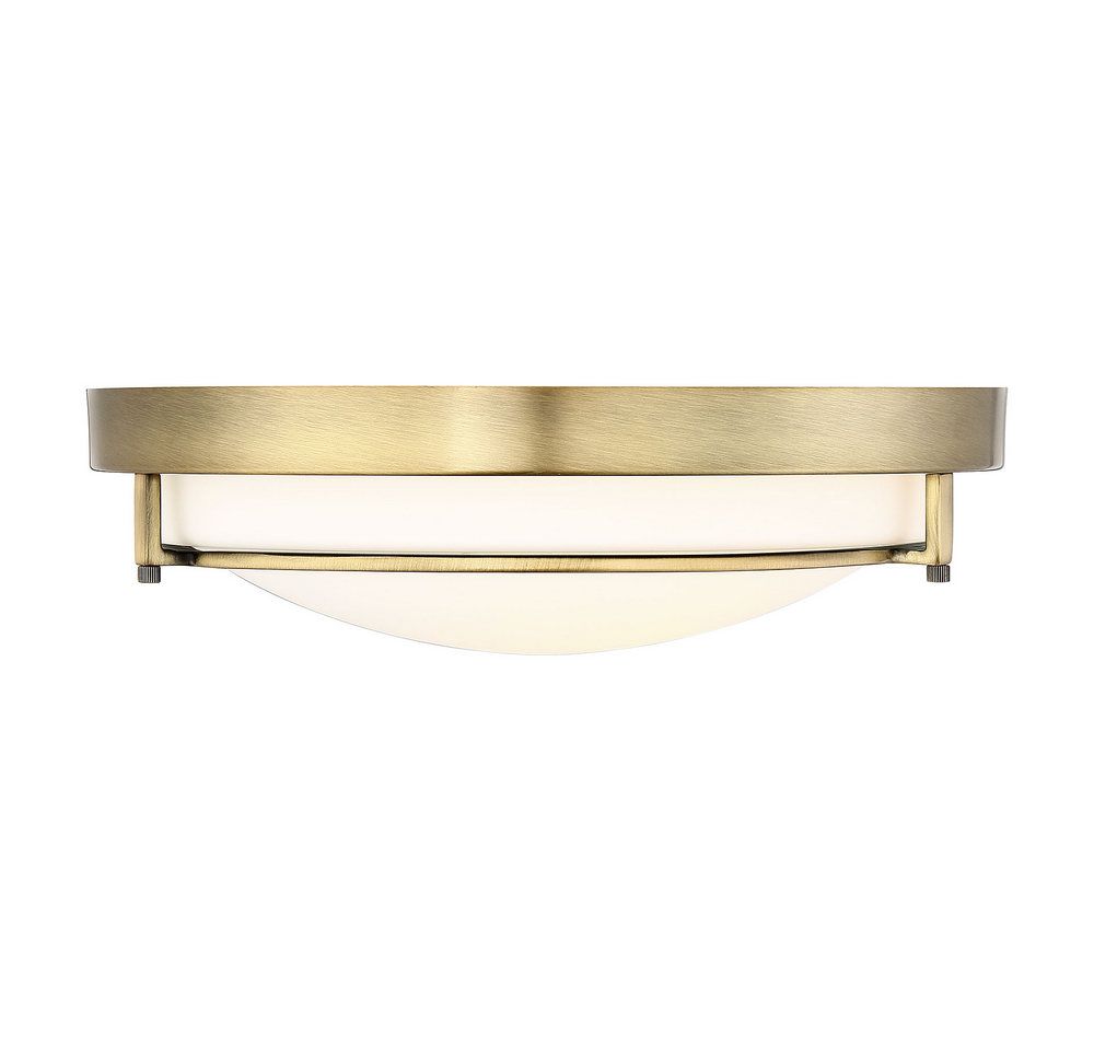 2-Light Ceiling Light
