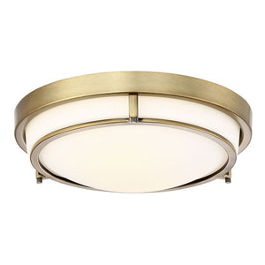 2-Light Ceiling Light