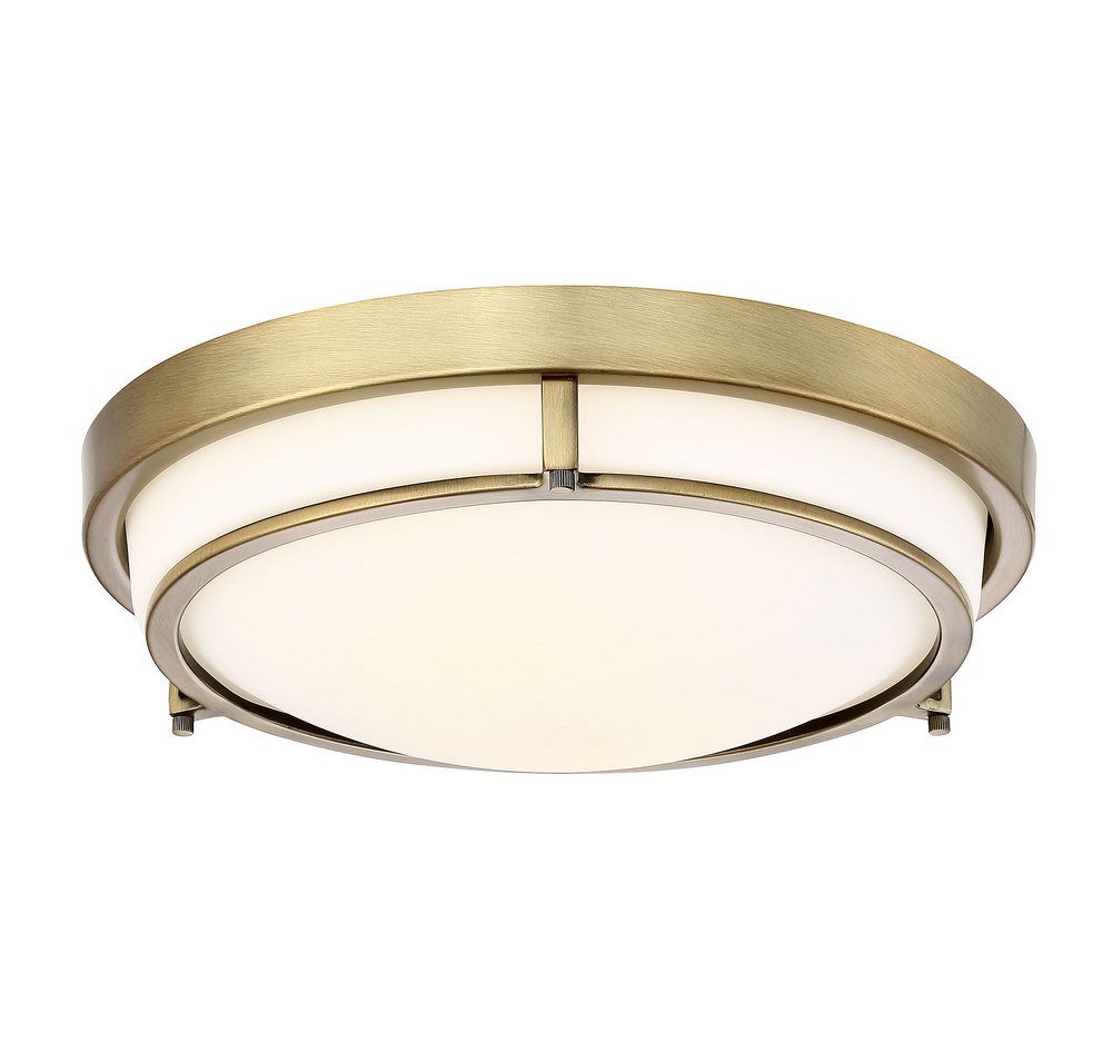 2-Light Ceiling Light