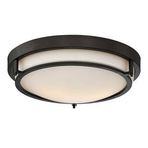 2-Light Ceiling Light