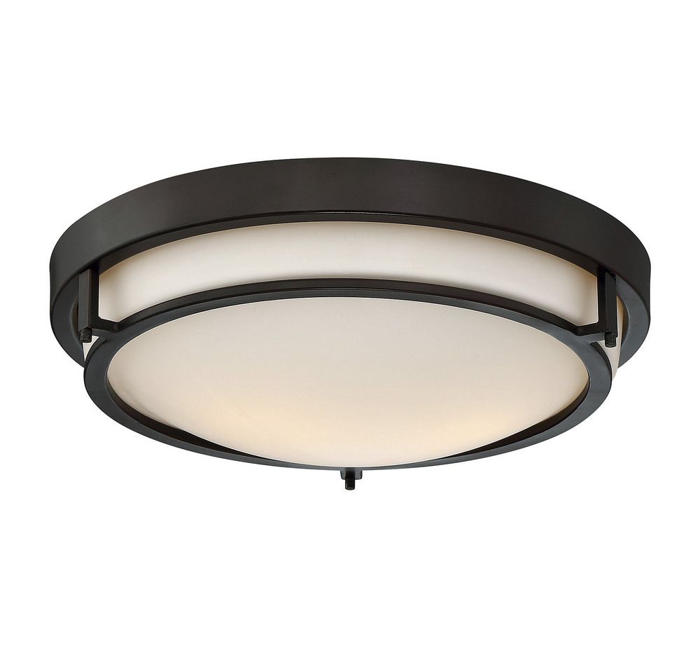 2-Light Ceiling Light