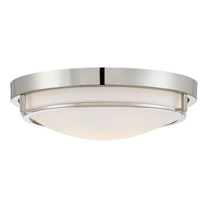 2-Light Ceiling Light