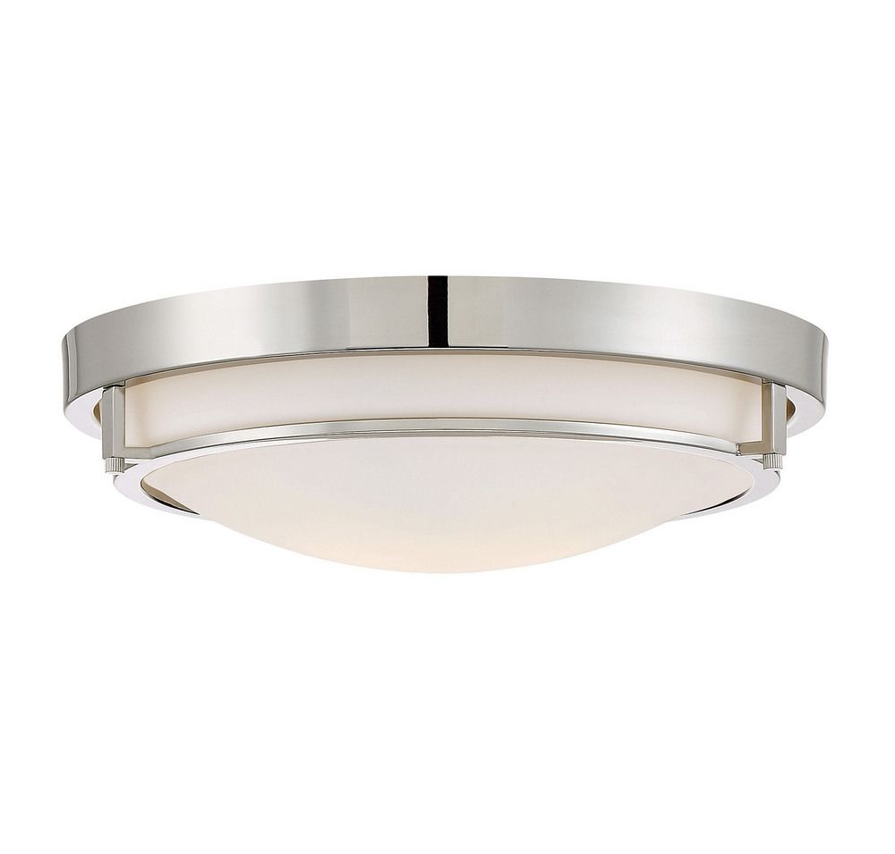2-Light Ceiling Light