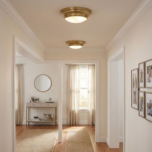 2-Light Ceiling Light