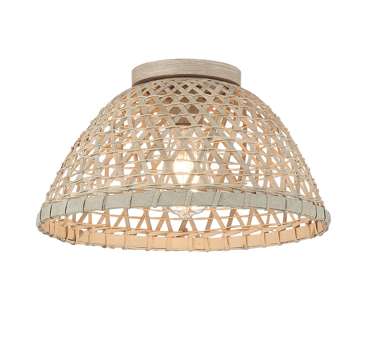 1-Light Ceiling Light