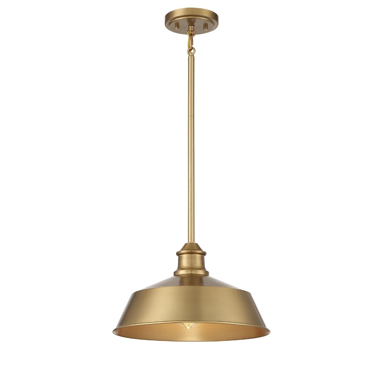 Meridian 1-Light Pendant