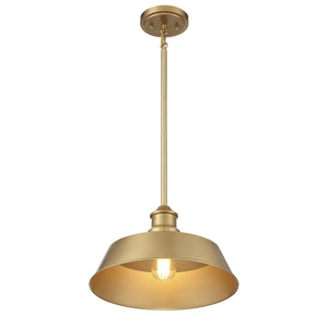 Meridian 1-Light Pendant