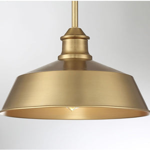 Meridian 1-Light Pendant
