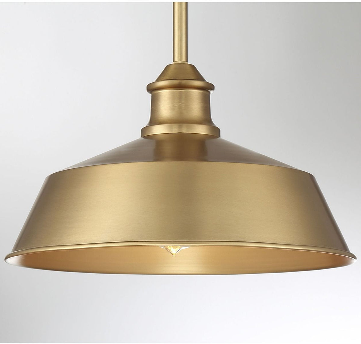 Meridian 1-Light Pendant