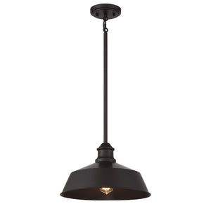 Meridian 1-Light Pendant