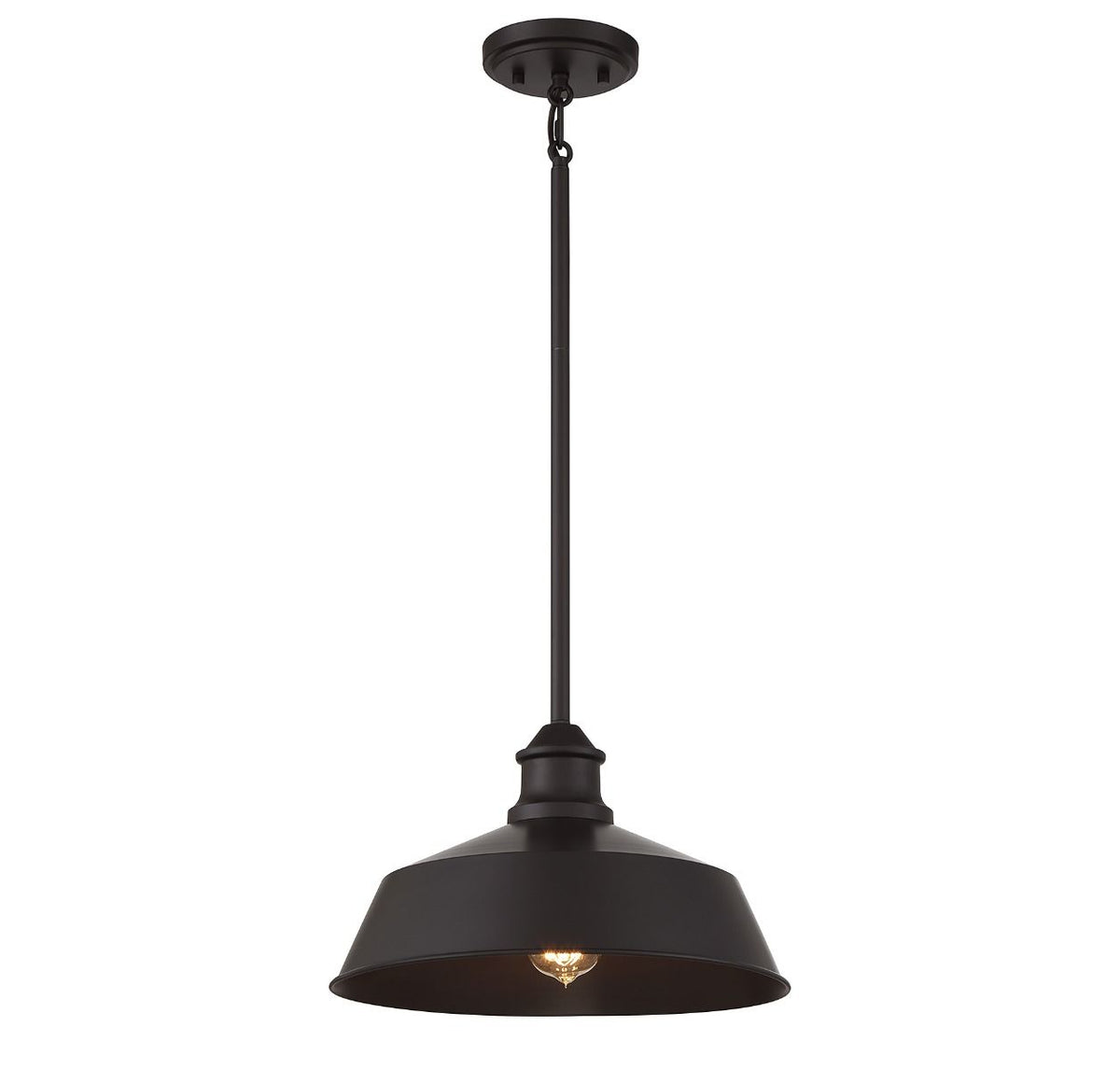 Meridian 1-Light Pendant