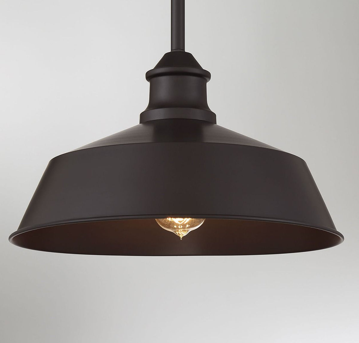 Meridian 1-Light Pendant