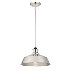 Meridian 1-Light Pendant