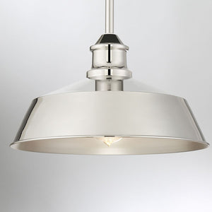 Meridian 1-Light Pendant