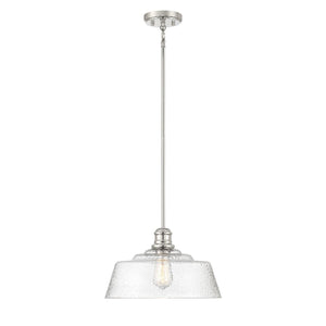 Meridian 1-Light Pendant