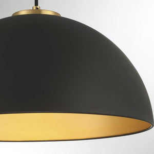 1-Light Pendant